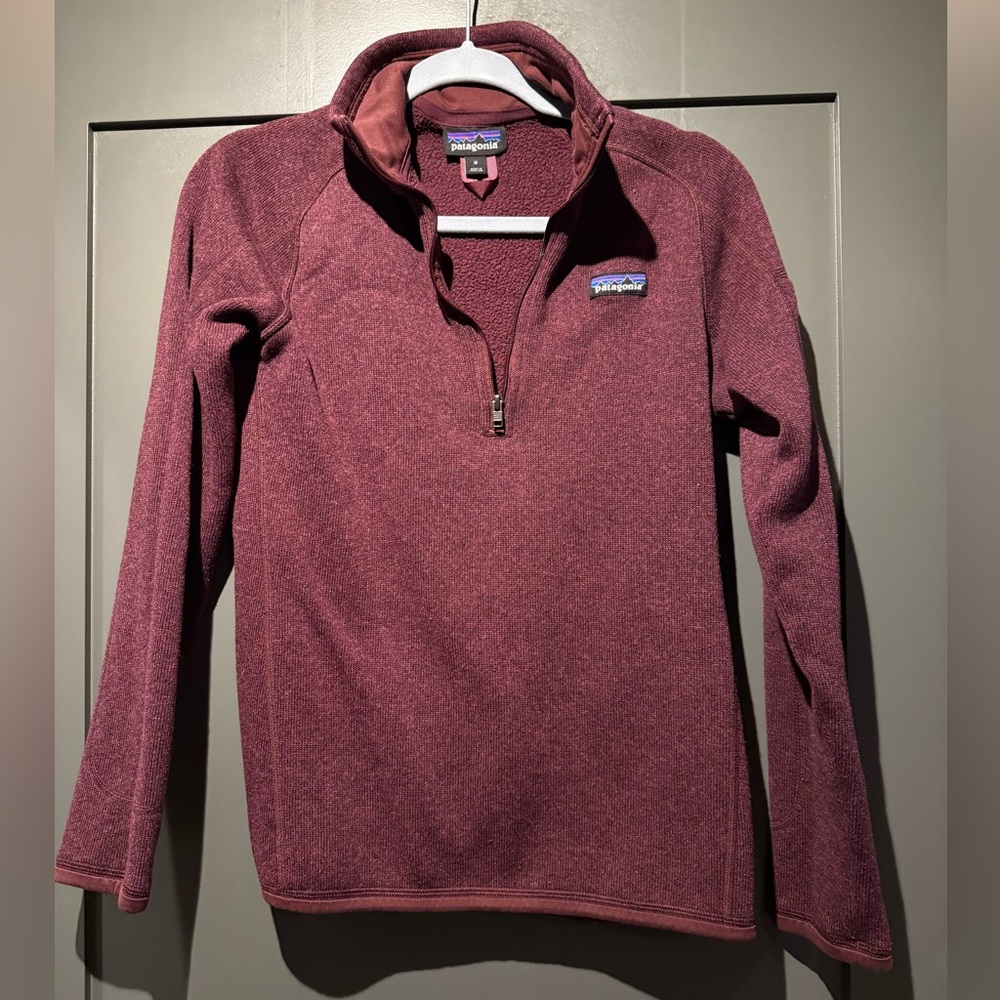 Patagonia Maroon Fleece Pullover